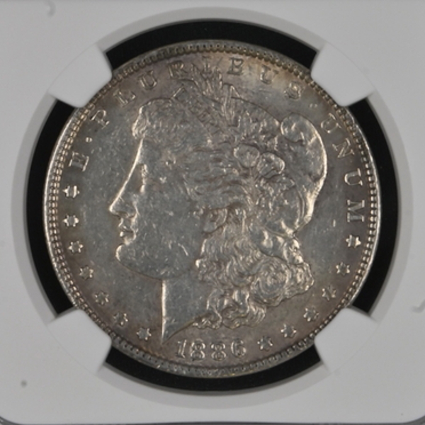 1886 $1, Morgan Dollar_1680a_8db795f69c4eec7_lg.jpeg