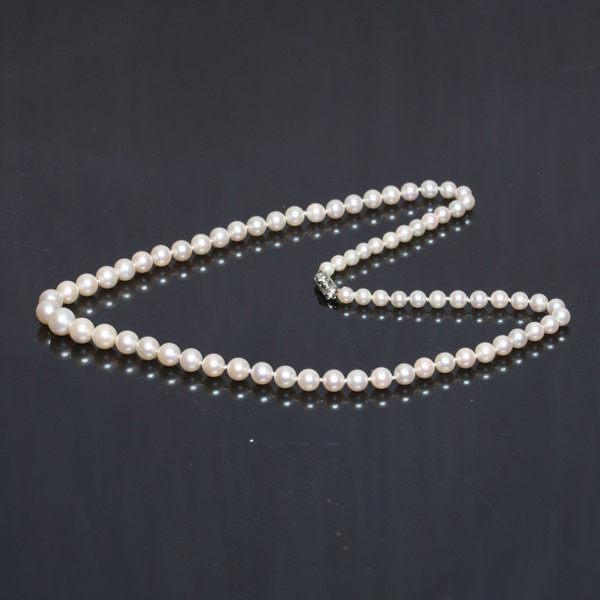 COLLIER/NECKLACE, cultured saltwater pearls, total weight 28g, HALSBAND, odlade saltvattenspärlor, total vikt 28g_2685a_lg.jpeg